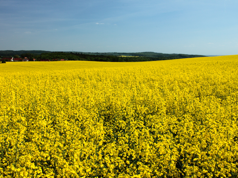 Killikus&reg; Fotographie