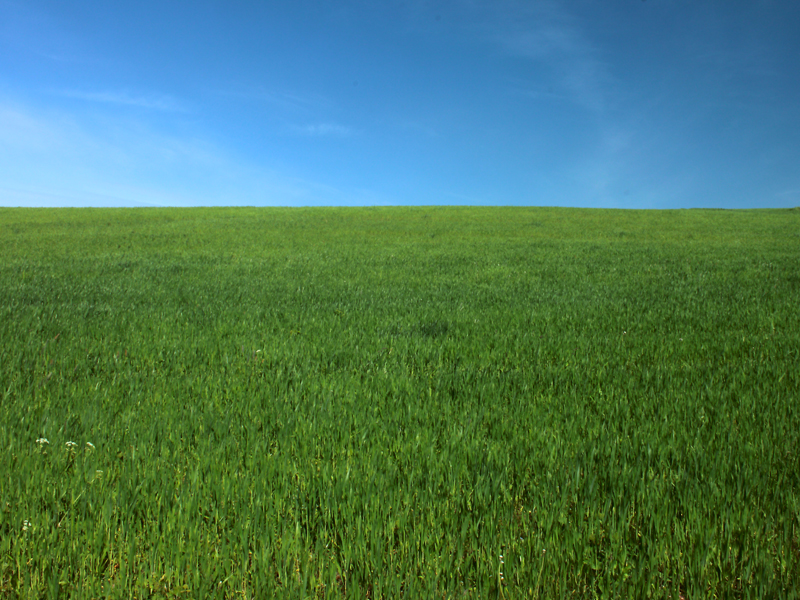 Killikus® Fotographie Killikus® Fotographie