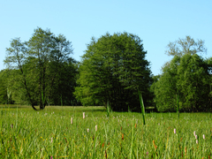 Killikus&reg; Fotographie