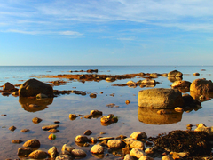 Killikus&reg; Fotographie