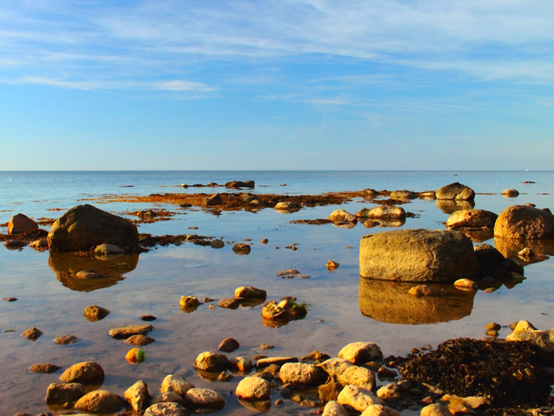 Killikus&reg; Fotographie