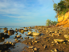 Killikus&reg; Fotographie