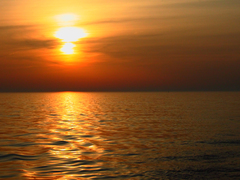 Killikus&reg; Fotographie