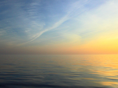 Killikus&reg; Fotographie