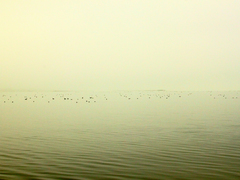 Killikus&reg; Fotographie