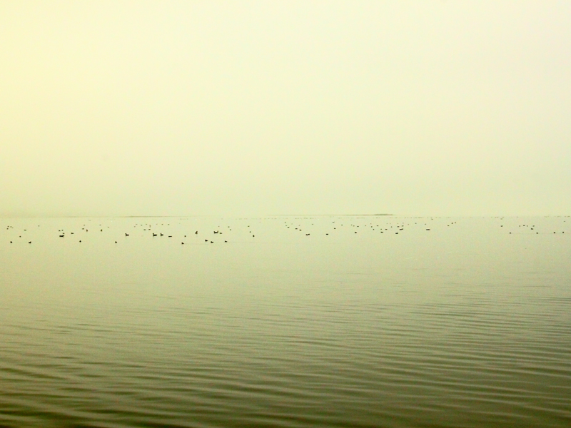 Killikus® Fotographie Killikus® Fotographie