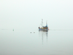 Killikus&reg; Fotographie