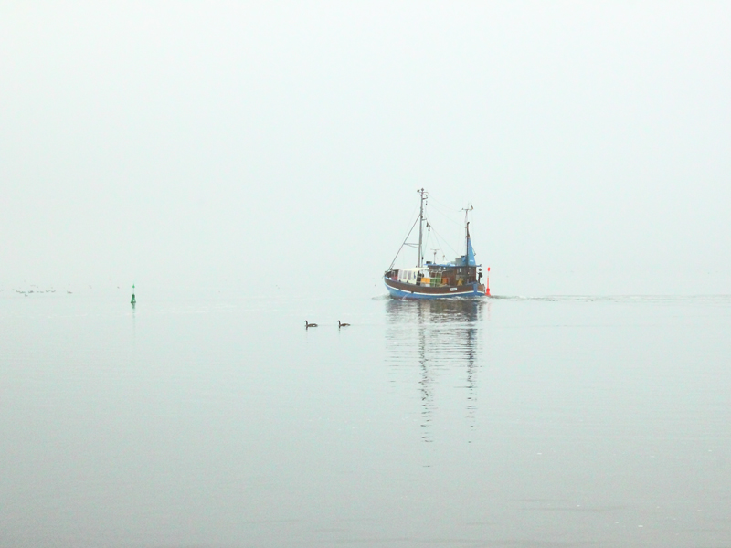 Killikus&reg; Fotographie