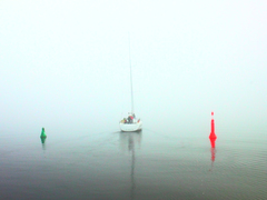 Killikus&reg; Fotographie