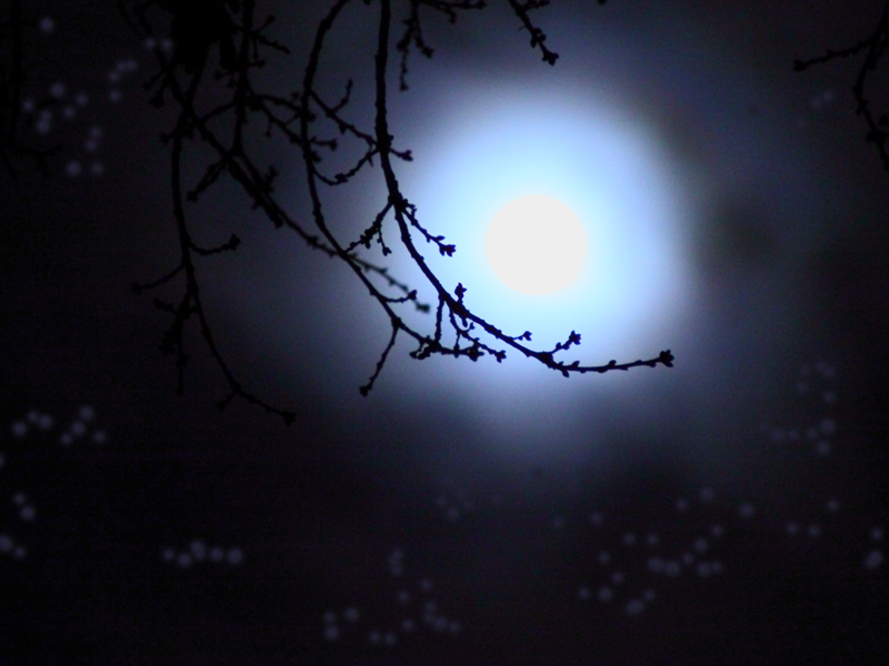 Killikus® Fotographie Killikus® Fotographie