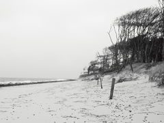 Killikus&reg; Fotographie