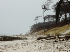 Killikus&reg; Fotographie