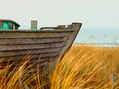 Killikus&reg; Fotographie