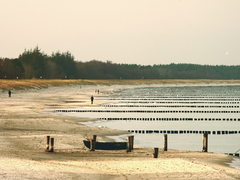 Killikus&reg; Fotographie