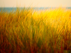 Killikus&reg; Fotographie