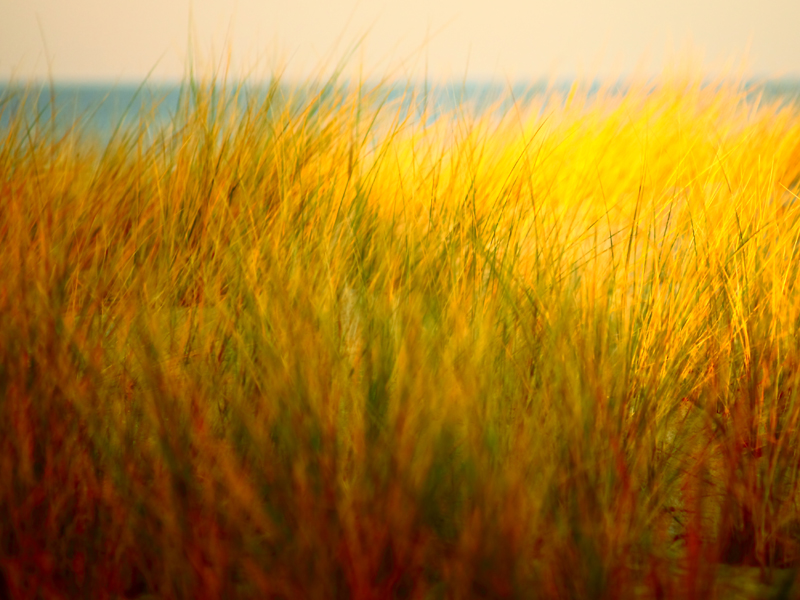 Killikus&reg; Fotographie