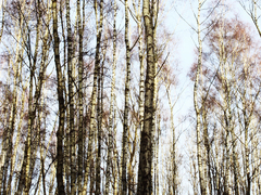 Killikus&reg; Fotographie