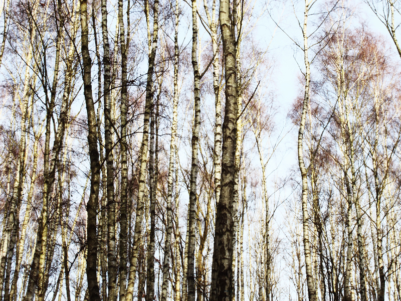 Killikus&reg; Fotographie