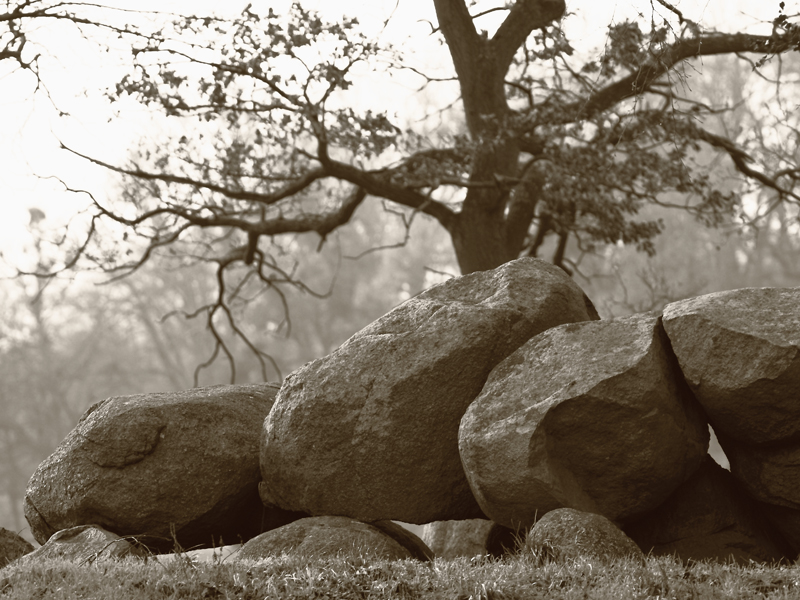 Killikus&reg; Fotographie