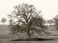 Killikus&reg; Fotographie