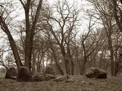 Killikus&reg; Fotographie