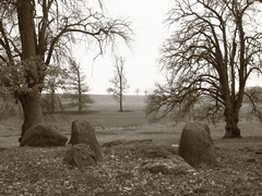 Killikus&reg; Fotographie