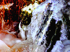 Killikus&reg; Fotographie