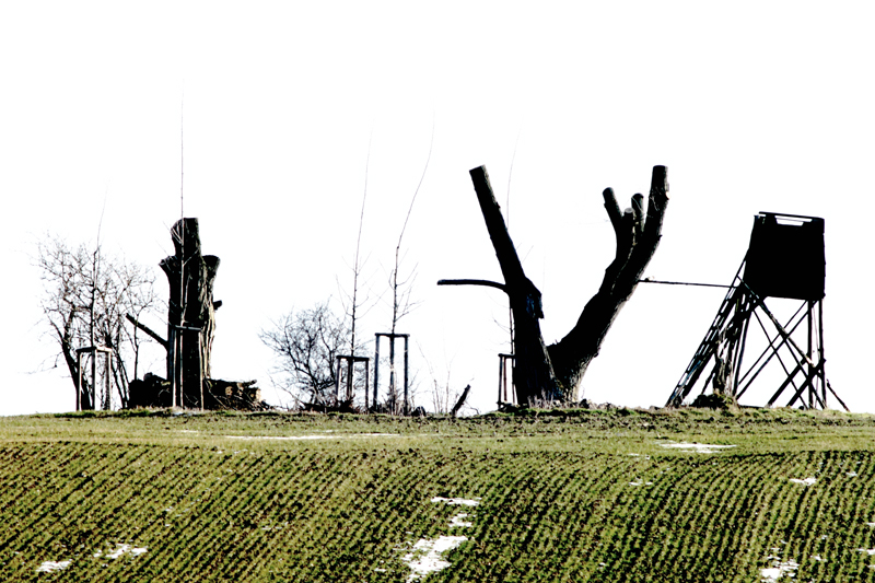 Killikus&reg; Fotographie