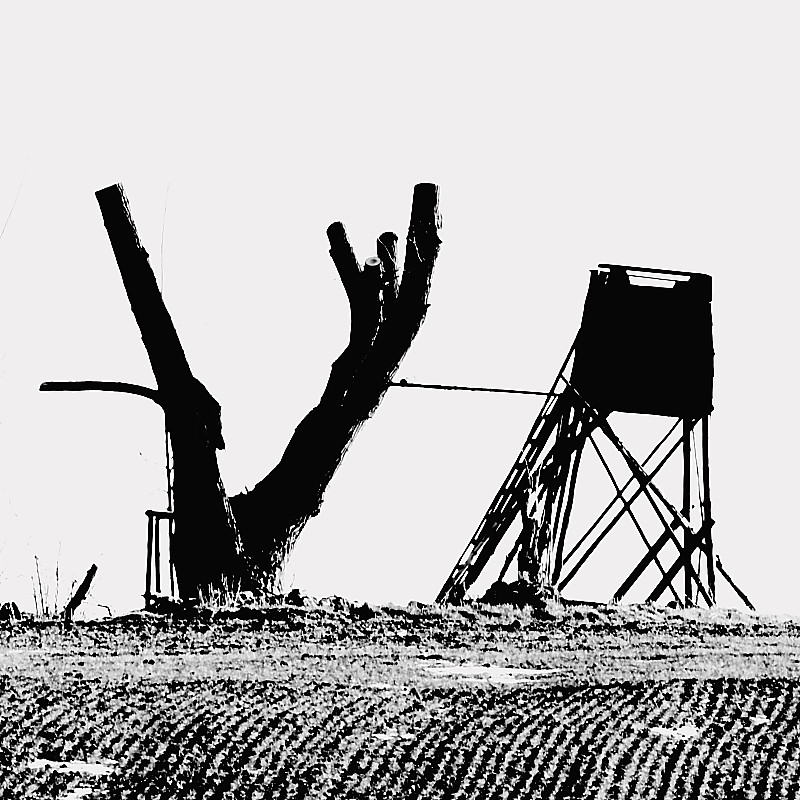 Killikus&reg; Fotographie