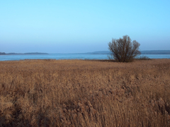 Killikus&reg; Fotographie