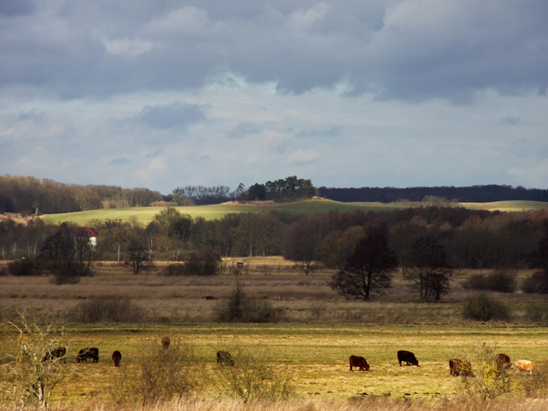 Killikus&reg; Fotographie