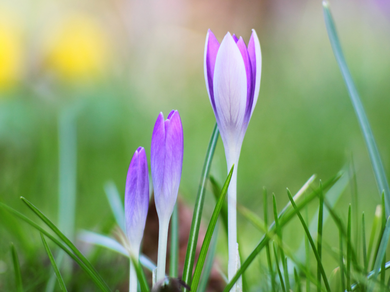 Killikus&reg; Fotographie