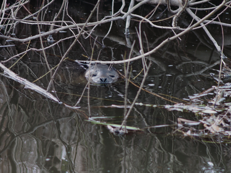 Killikus&reg; Fotographie