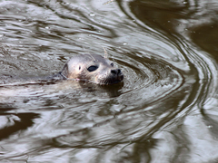 Killikus&reg; Fotographie