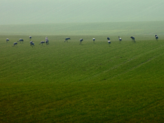 Killikus&reg; Fotographie