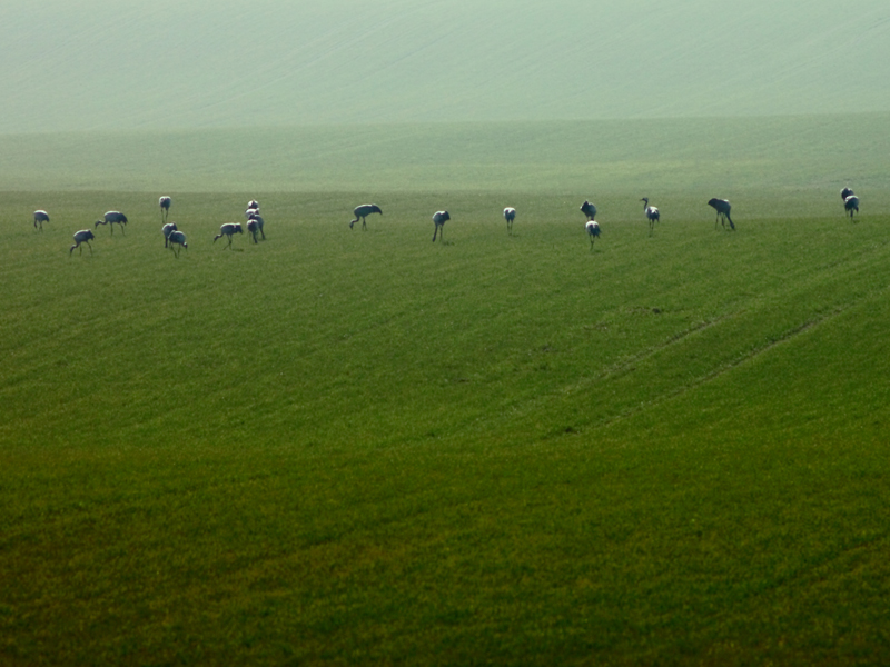 Killikus® Fotographie Killikus® Fotographie