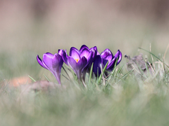 Killikus&reg; Fotographie