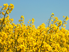 Killikus&reg; Fotographie