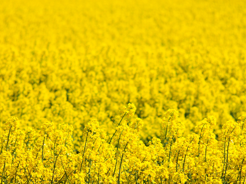 Killikus&reg; Fotographie