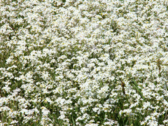 Killikus&reg; Fotographie