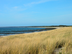 Killikus&reg; Fotographie