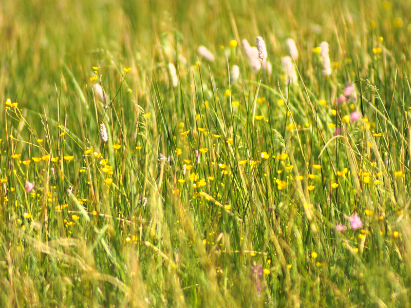 Killikus® Fotographie Killikus® Fotographie