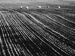 Killikus&reg; Fotographie