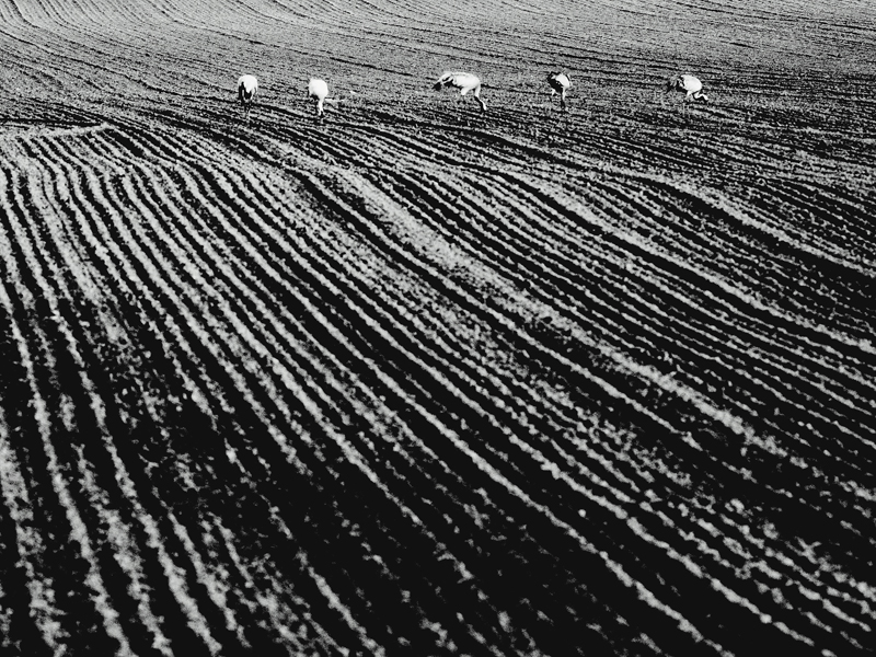 Killikus&reg; Fotographie