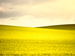 Killikus&reg; Fotographie