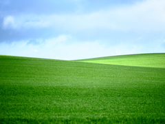 Killikus&reg; Fotographie