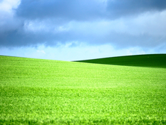 Killikus&reg; Fotographie