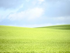 Killikus&reg; Fotographie