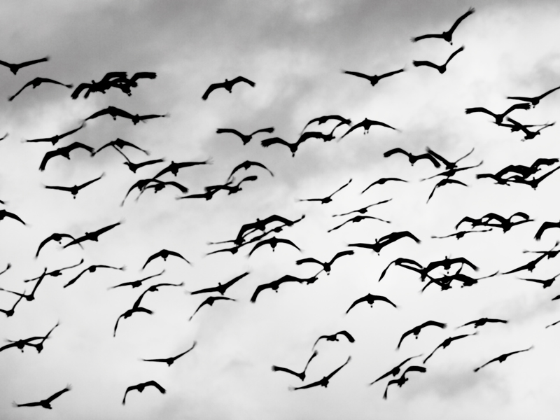 Killikus® Fotographie Killikus® Fotographie