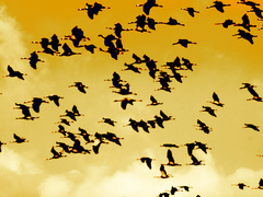 Killikus&reg; Fotographie